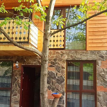 Levani'S Cottage Borjomi Exterior foto