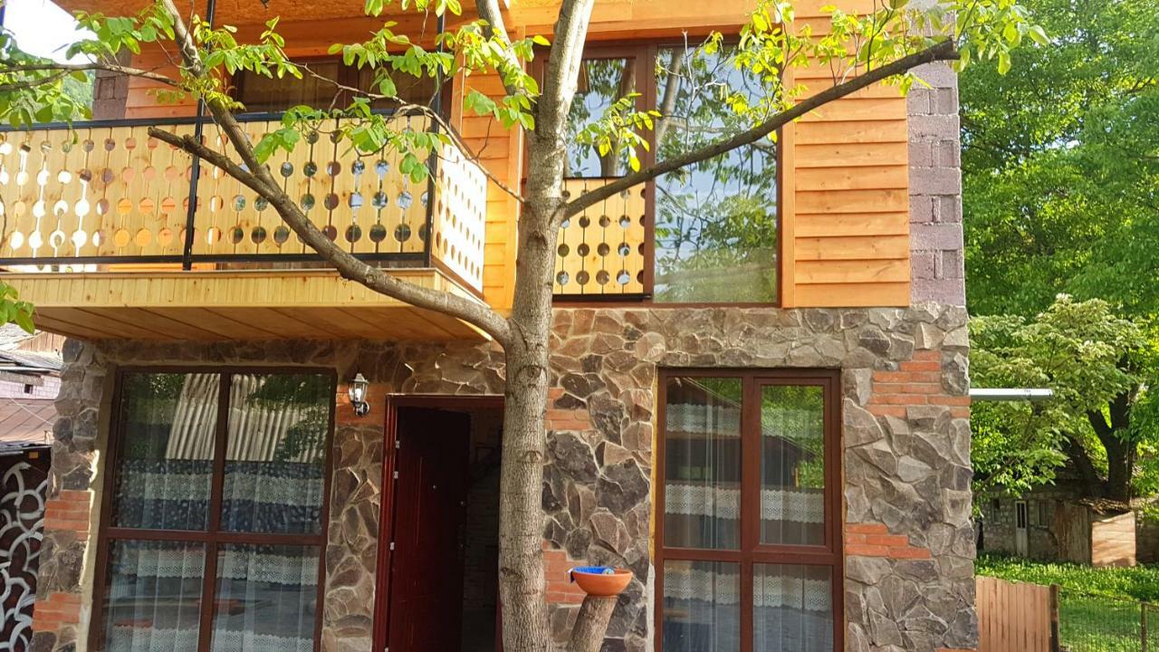 Levani'S Cottage Borjomi Exterior foto