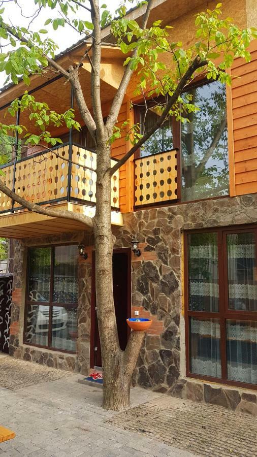 Levani'S Cottage Borjomi Exterior foto